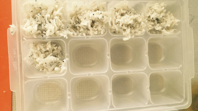 離乳食中期 後期しらす冷凍ストック レシピ 作り方 By Mmpow クックパッド 簡単おいしいみんなのレシピが360万品