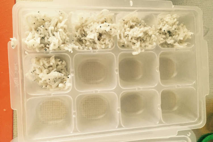 離乳食中期 後期しらす冷凍ストック レシピ 作り方 By Mmpow クックパッド 簡単おいしいみんなのレシピが360万品