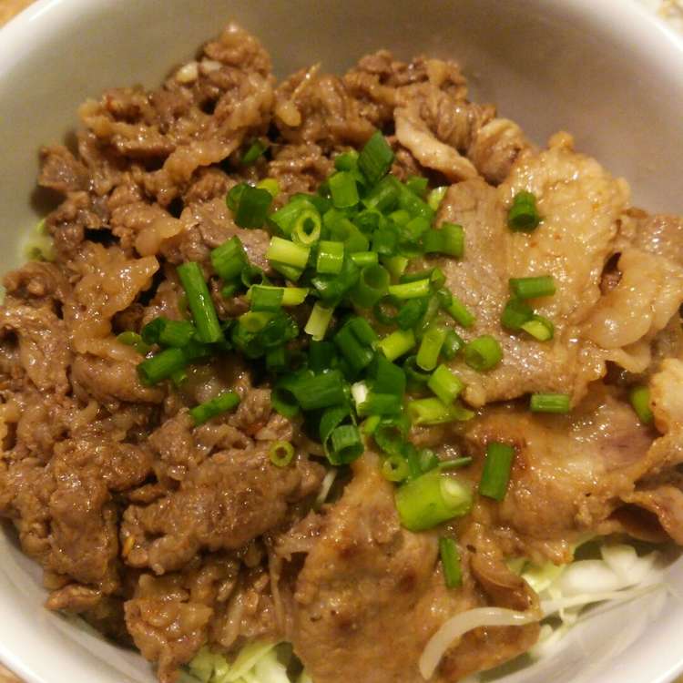 牛豚（ギュウトン）焼肉味