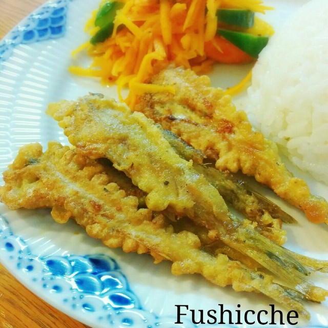 小カマス 白身魚 フリッター レシピ 作り方 By フシッチェ クックパッド 簡単おいしいみんなのレシピが356万品 小カマス 白身魚 フリッター レシピ 作り方 By フシッチェ クックパッド 簡単おいしいみんなのレシピが356万品