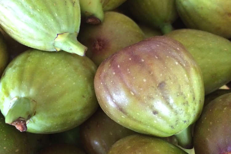 ワインで無花果コンポート レシピ 作り方 By Verdad クックパッド 簡単おいしいみんなのレシピが357万品