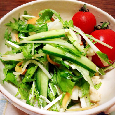 モリモリ野菜を食べちゃうサラダ☆の写真