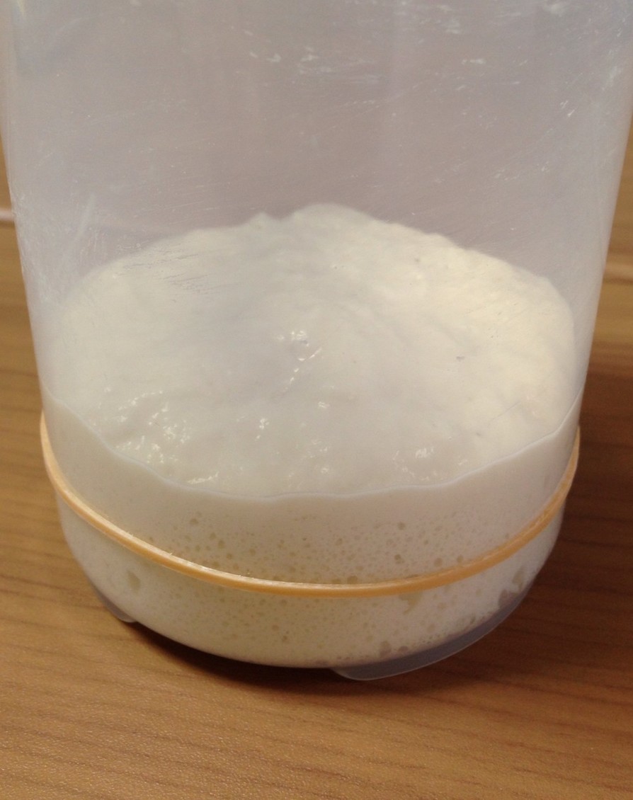 グリーンレーズン自家製酵母液で元種作りの画像