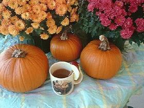 Munchkins' Hot Apple Cider