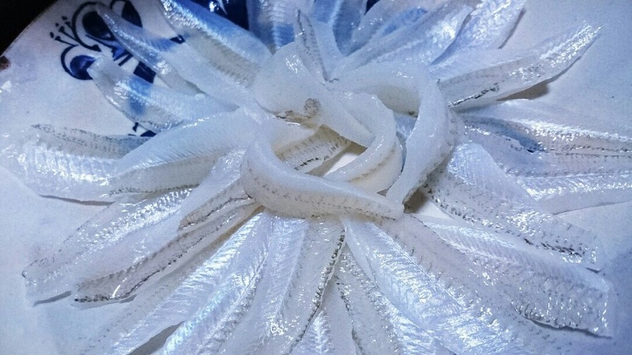 シロギスの刺身氷締めの画像