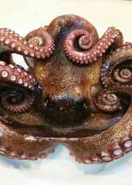 みんなが作ってる 生たこ 下処理のレシピ クックパッド 簡単おいしいみんなのレシピが355万品