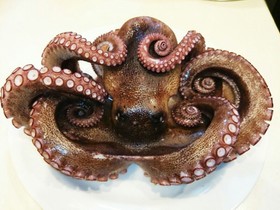 生タコの茹で方 楽々!下処理