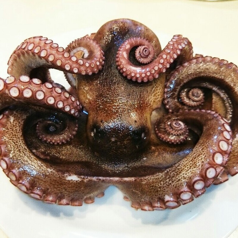 みんなが作ってる 生だこ 茹で方のレシピ クックパッド 簡単おいしいみんなのレシピが360万品