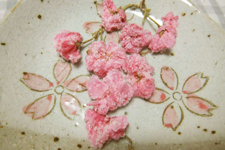 我が家の八重桜 関山 の塩漬け レシピ 作り方 By Tobimama クックパッド 簡単おいしいみんなのレシピが358万品