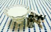 カルピスヨーグルト♪の写真