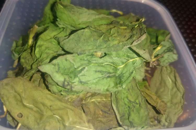 乾燥バジル レシピ 作り方 By ｂａ ｂａ クックパッド 簡単おいしいみんなのレシピが362万品