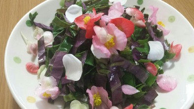 沖縄野菜はんだまとお花のサラダの写真