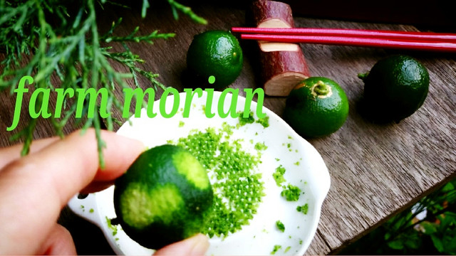 農園レシピ すだちのすりおろし方 レシピ 作り方 By もりあん農園 クックパッド 簡単おいしいみんなのレシピが356万品