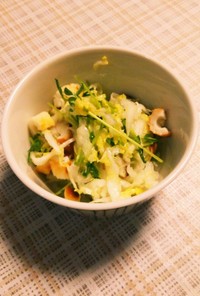 白菜と豆苗のサラダ