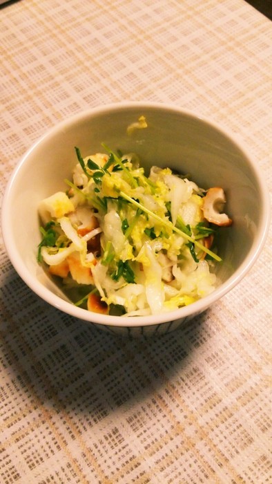 白菜と豆苗のサラダの写真
