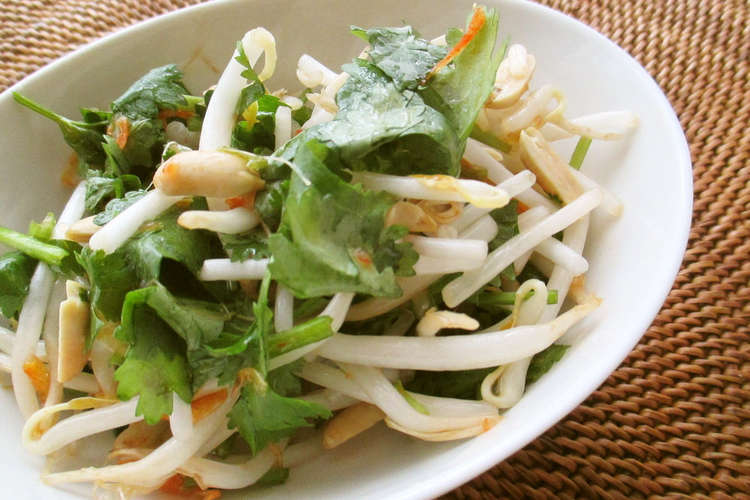 もやし パクチーでヴェトナム風サラダ レシピ 作り方 By Jaye クックパッド 簡単おいしいみんなのレシピが367万品