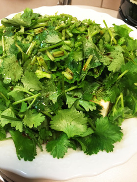切ってのせてかけるだけ。超簡単な香菜豆腐