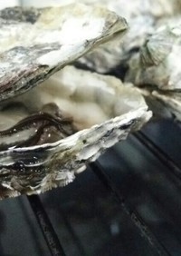 簡単☆殼つき牡蠣の魚焼きグリル焼き