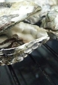 簡単☆殼つき牡蠣の魚焼きグリル焼き