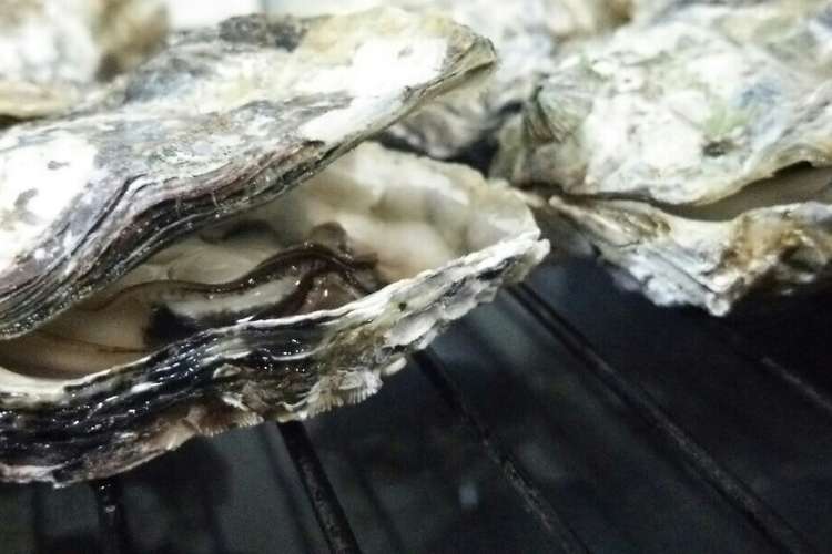 簡単☆殼つき牡蠣の魚焼きグリル焼き