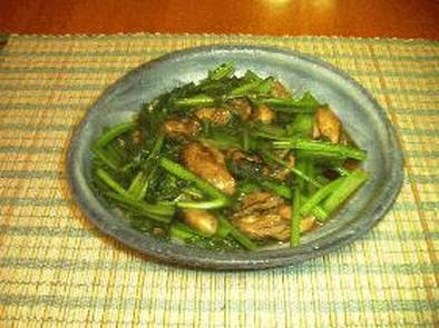 小松菜とかきのオイスターソース炒めの写真