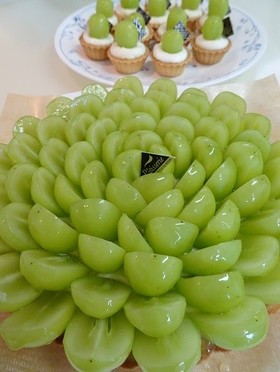 シャインマスカットのレアチーズタルト