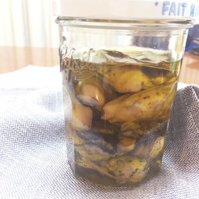 簡単!牡蠣のオリーブオイル漬け