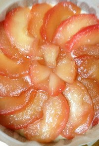 林檎のレアチーズケーキ