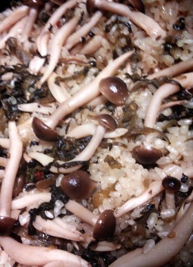 炊飯器で簡単おこわ♪びっくりぽんや♪