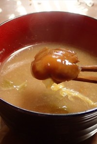 ヌメリスギタケモドキと大根白菜の味噌汁