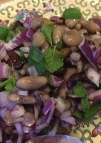 豆と紫玉ねぎとミントのサラダ