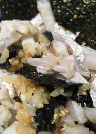 みんなが作ってる 釣りたて新鮮太刀魚のレシピ クックパッド 簡単おいしいみんなのレシピが340万品