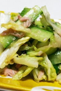 簡単つまみ　白菜のサラダ