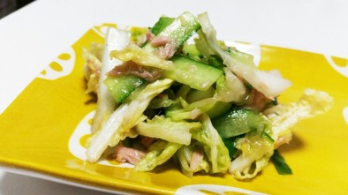 簡単つまみ　白菜のサラダの写真