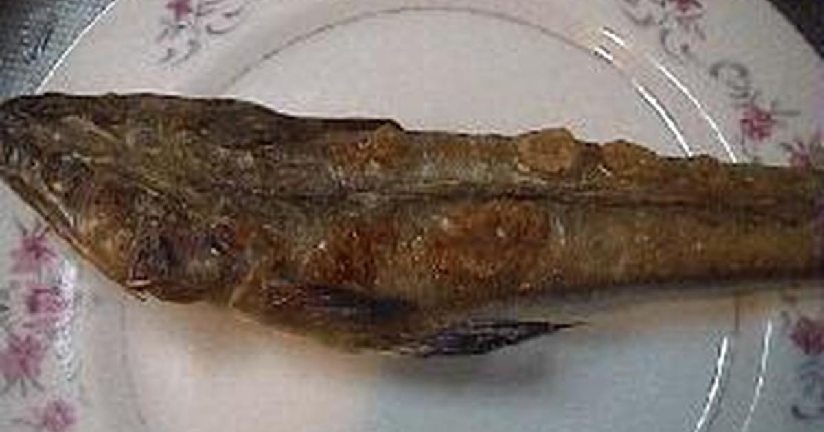 マゴチとは一体どんな魚 そのさばき方 食べ方 釣り方を徹底解説 釣りラボマガジン