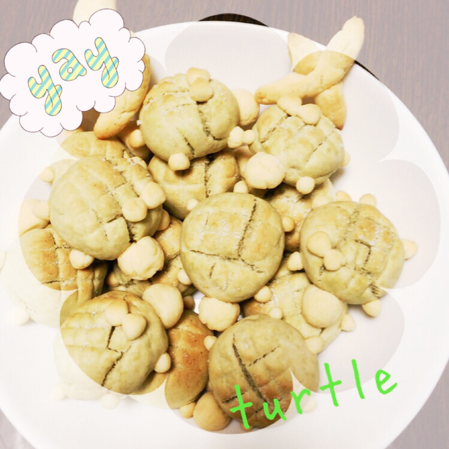 ♡メロンパン風カメさんクッキー♡の画像
