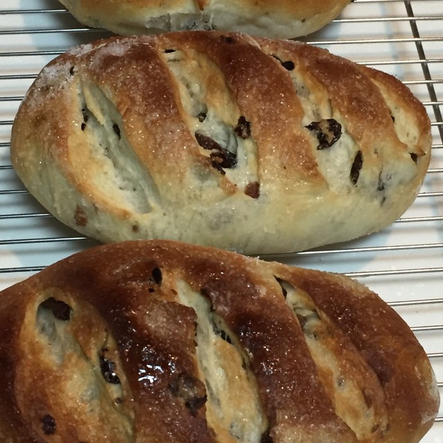 Hbで作る たっぷりぶどうパン レシピ 作り方 By プーママ0401 クックパッド 簡単おいしいみんなのレシピが352万品