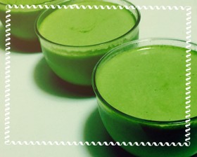 糖質制限な豆乳抹茶プリン