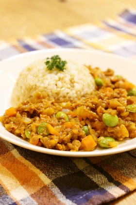 大豆のお肉でキーマカレー風♪