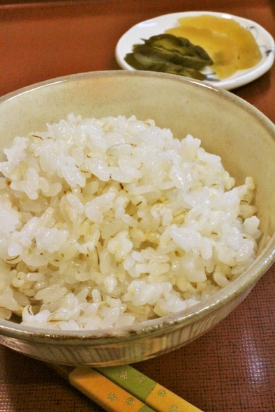 圧力鍋で米粒麦入りご飯～氷を加えて～の写真