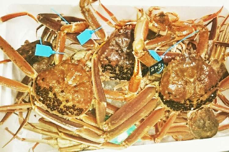 蟹の茹で方 写真付き レシピ 作り方 By なんちゃって主婦 クックパッド