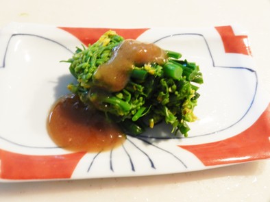 菜の花のオリーブ油酢味噌和えの写真