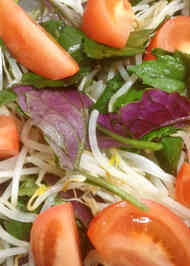 みんなが作ってる 金時草 サラダのレシピ クックパッド 簡単おいしいみんなのレシピが359万品