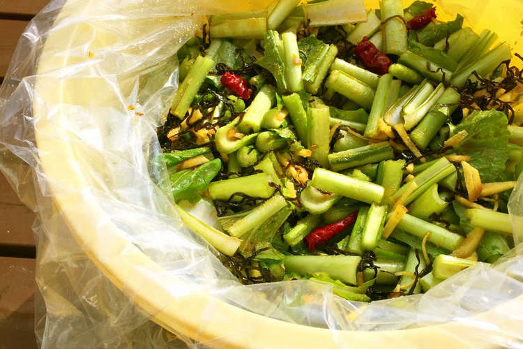 野沢菜の時漬け 信州の味 レシピ 作り方 By 春小町 クックパッド 簡単おいしいみんなのレシピが370万品