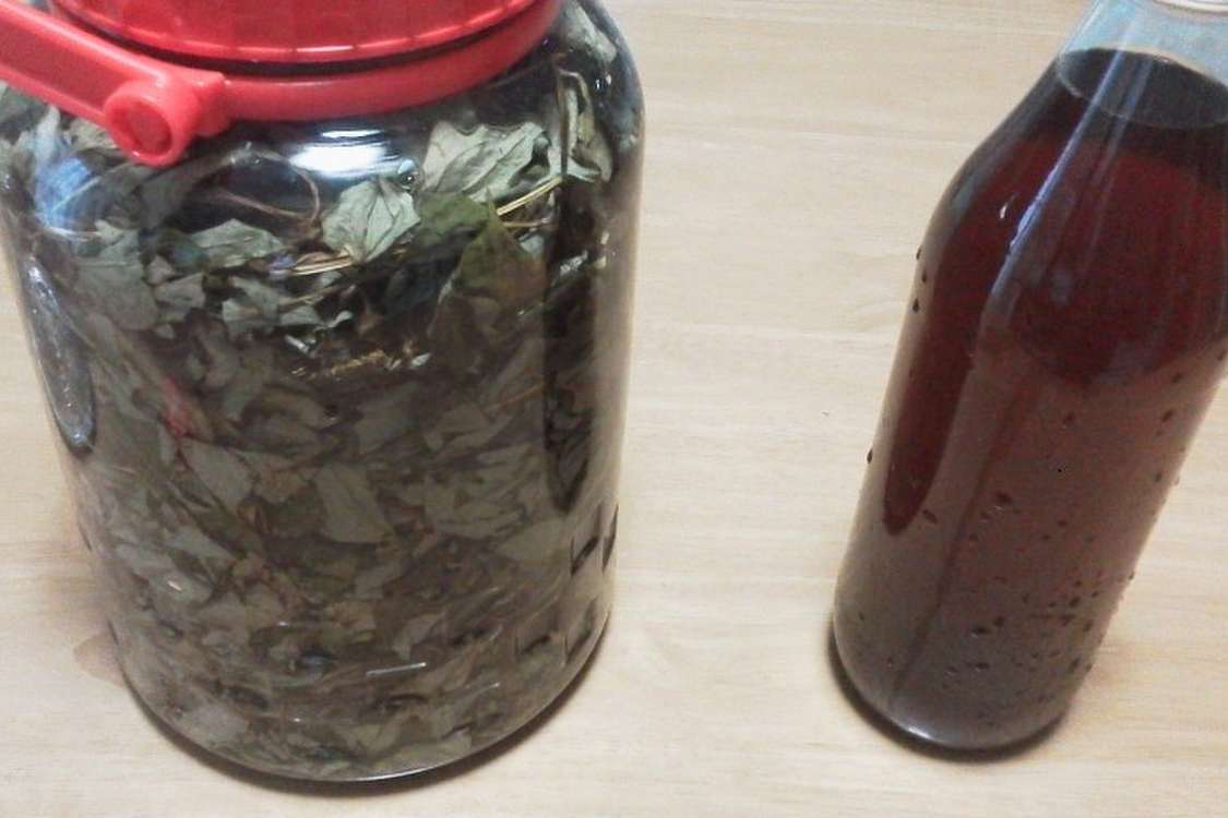 健康に 美味しいドクダミ酒 レシピ 作り方 By マリゴン25 クックパッド 簡単おいしいみんなのレシピが378万品