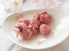 さくらスイーツに 桜の塩漬けは レンジ で花開く