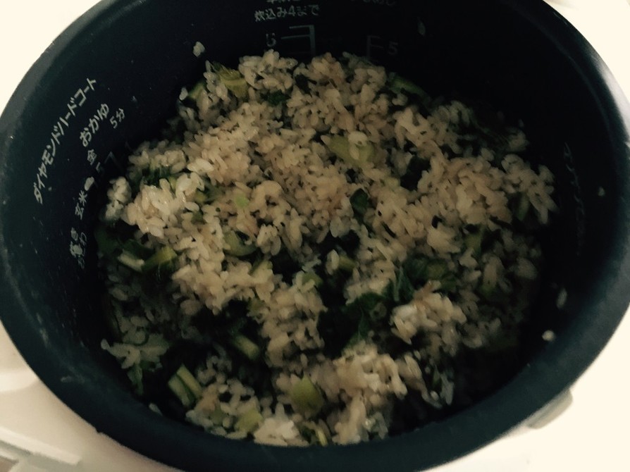 野沢菜と塩昆布の混ぜご飯の画像