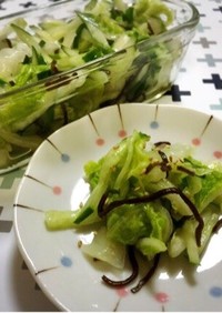 白菜と胡瓜の塩昆布和え