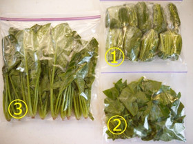 ほうれん草は生のままで冷凍保存 3通り