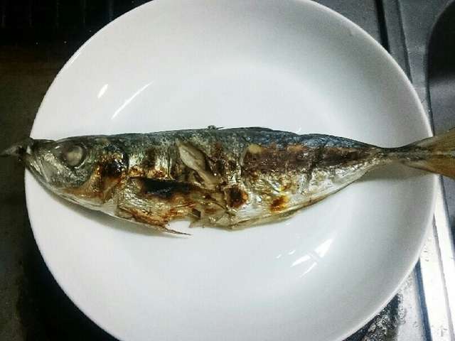 Japan Image アジ 塩焼き 内臓 Japan Image アジ 塩焼き 内臓
